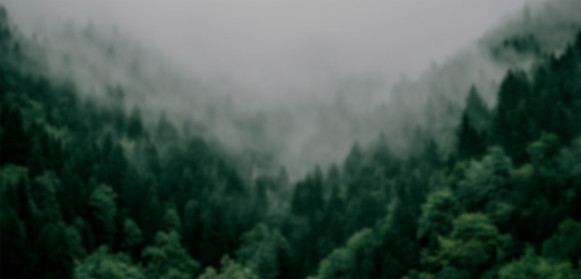 關鍵詞：Carbon, 山林碳匯，生態碳循環，深圳市武智科技;描述：深圳市武智科技關聯的碳匯場景，霧氣繚繞的山林體現生態系統的碳循環與碳匯潛力