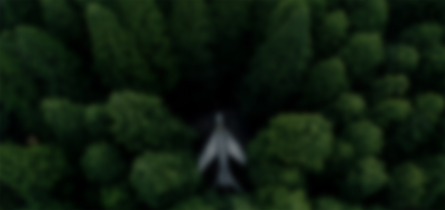 關鍵詞：Carbon, 碳匯資源監測，森林生態俯瞰，深圳市武智科技;描述：深圳市武智科技碳管理相關的森林俯瞰畫面，體現對碳匯資源的監測與管理場景
